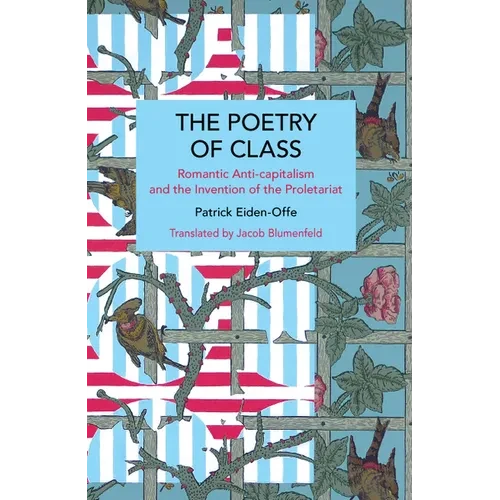 The Poetry of Class: Romantic Anti-Capitalism and the Invention of the Proletariat - Paperback