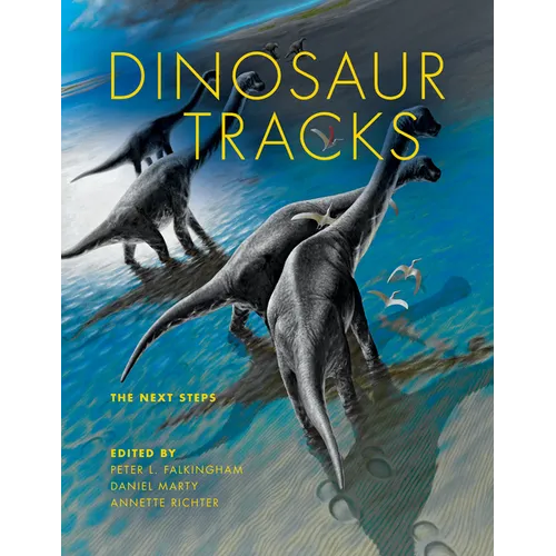 Dinosaur Tracks: The Next Steps - Hardcover - IBook Store