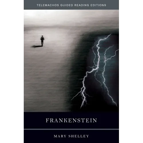 Frankenstein - Paperback