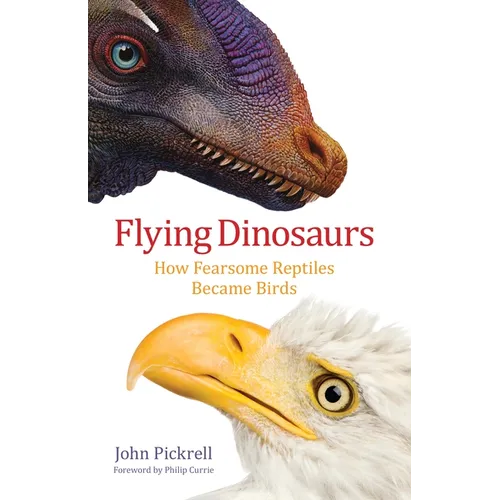 Flying Dinosaurs: How Fearsome Reptiles Became Birds - Hardcover - IBook Store