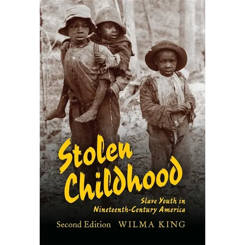 Stolen Childhood: Slave Youth in Nineteenth-Century America - Paperback - IBook Store