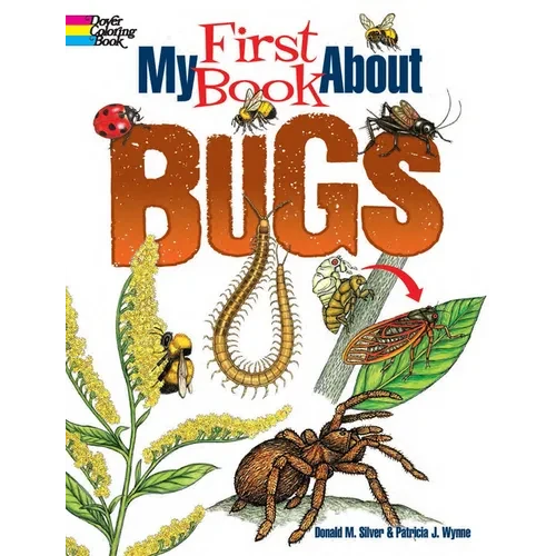 My First Book about Bugs - Paperback