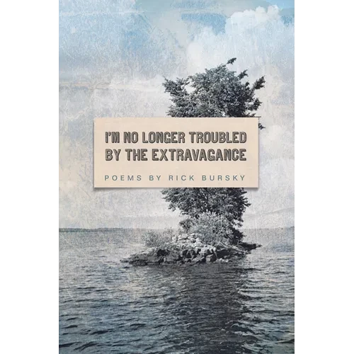 I'm No Longer Troubled by the Extravagance