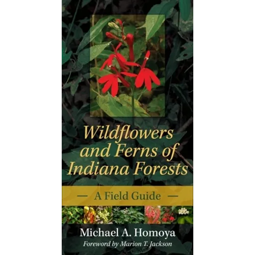 Wildflowers and Ferns of Indiana Forests: A Field Guide - Paperback - IBook Store
