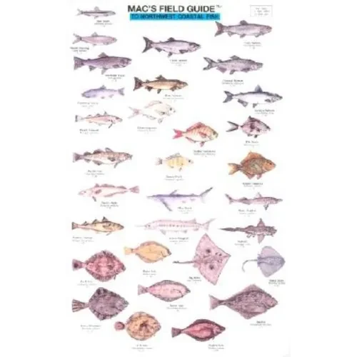 Mac's Field Guides: Northwest Coastal Fish