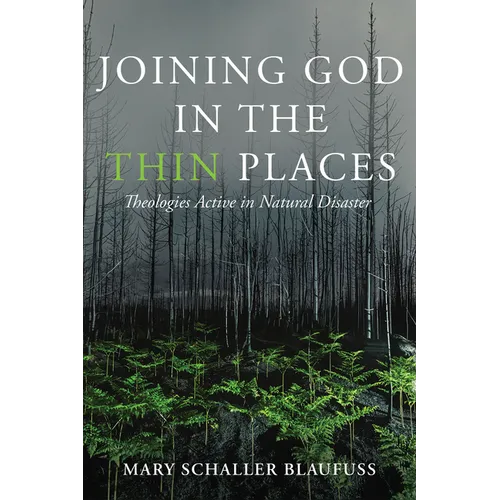 Joining God in the Thin Places: Theologies Active in Natural Disaster - Hardcover - IBook Store