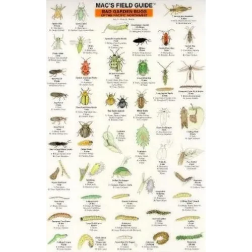 Mac's Field Guides: Northwest Garden Bugs - Paperback