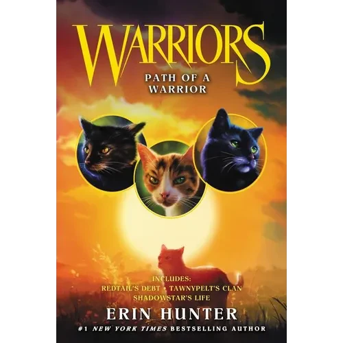 Path of a Warrior - Paperback
