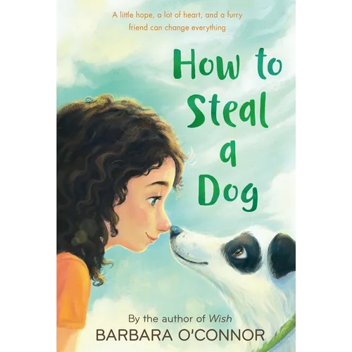 How to Steal a Dog