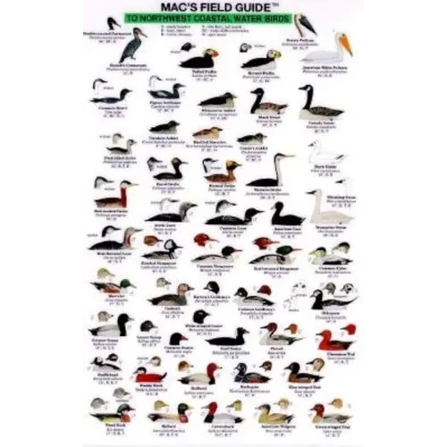 Mac's Field Guides: Northwest Coast Water Birds