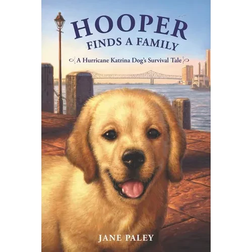 Hooper Finds a Family: A Hurricane Katrina Dog's Survival Tale - Paperback