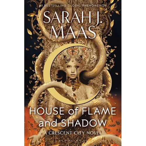 House of Flame and Shadow - Paperback