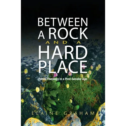 Between a Rock and a Hard Place: Public Theology in a Post-Secular Age - Paperback