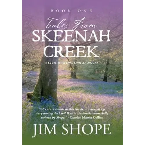 Tales From Skeenah Creek: A Civil War Historical Fiction Novel - Hardcover