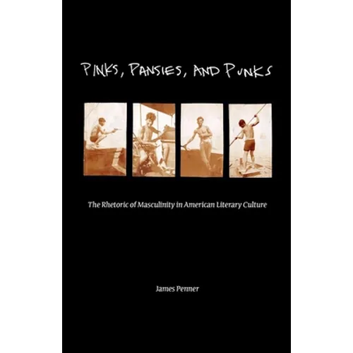 Pinks, Pansies, and Punks: The Rhetoric of Masculinity in American Literary Culture - Paperback - IBook Store