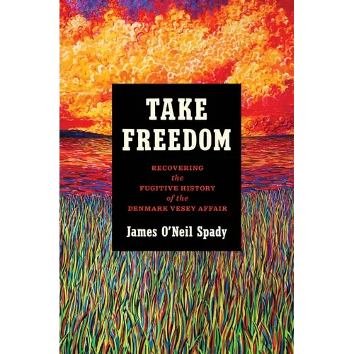 Take Freedom: Recovering the Fugitive History of the Denmark Vesey Affair - Hardcover