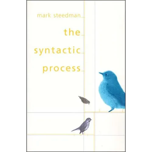 The Syntactic Process - Paperback - IBook Store