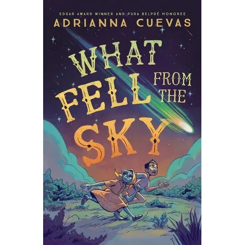 What Fell from the Sky - Paperback